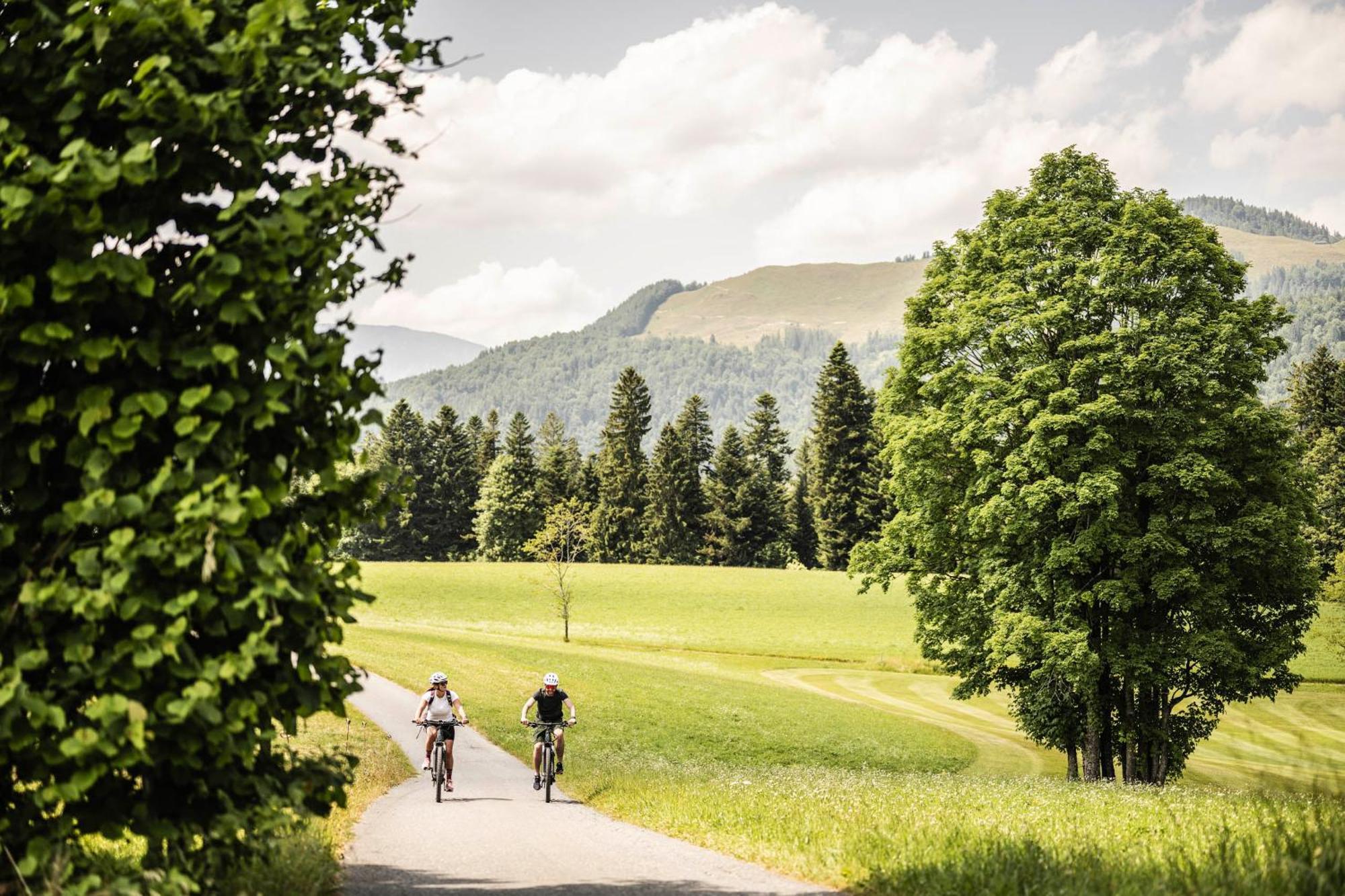 Wohlfuehlresort Peternhof Кёссен Экстерьер фото